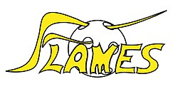 Logo der Jona-Uznach Flames