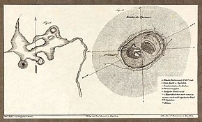 Fig. A: Quelle Sissopan (S. 224), mit ihren Sprudeln, die sich aus kleinen Becken erheben. Fig. B: Krater des Tjermai (S. 236). – Diese Zeichnung ist so detailliert, dass sogar die ausgeschabten Rinnen der Rhinozeros-Pfade zu sehen sind (siehe Rhinozerospfad).