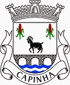 Wappen von Capinha