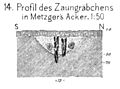 (Raetischer Limes), Strecke 14, Profil des Zaungräbchens in Metzgers Acker