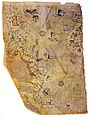Karte des Piri Reis 1513, Papageien auf den karibischen Inseln, dargestellt sind allerdings Edelsittiche