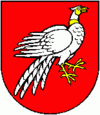 Wappen von Radava