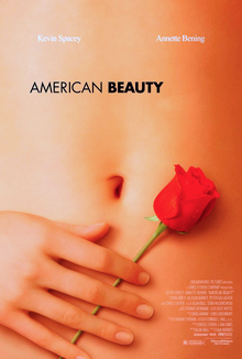 Poster of a woman's stomach with her hand holding a red rose against it.