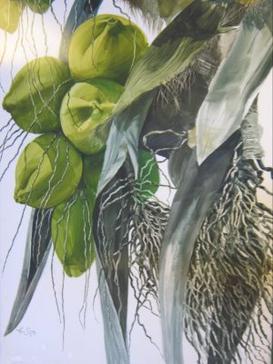 Coconuts by Ken Shutt, 1972, watercolor, Waialae Country Club