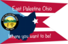 Flag of East Palestine, Ohio