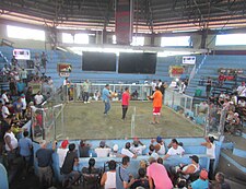 2024 Philippines legal cockfighting - garden soil arena (gradas), bettors (sabungero), referee (sentensyador-koyme), kristos, confronting cocks at "Meron and Wala" (lyamado-dehado), "bet taker" (promoter, matador-casador) and handlers-("taga-bitaw")