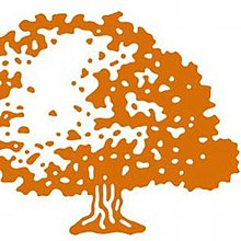 Polytechnic School logo, the outline of a deciduous tree in orange on a white background