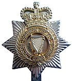 Cap Badge of the Northern Ireland Security Guard Service