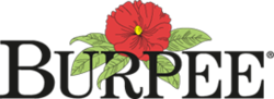 Logo of Burpee Seeds, a flower, surrounded by leaves, above the word "Burpee"