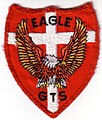 "E" Flight badge 1981. Eagle Flight was the Ground Training School (GTS)