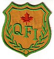 2CFFTS Qualified Flying Instructor badge 1981