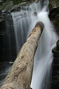 Foaming cascade of Buttermilk Falls