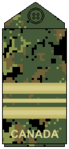 CADPAT uniform (old insignia)