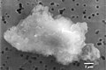 Image 22Smooth chondrite interplanetary dust particle. (from Cosmic dust)