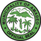 Official seal of Amadeo