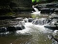 The falls at Buttermilk Falls State Park