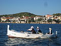Krapanj women rowing a Gajeta