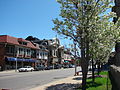 Lincoln Village street scape in spring.