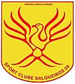 2008–2015 as Sport Clube Salgueiros 08