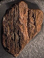 Same stamped bulla (~12 mm long) showing ridges on cord side indicating papyrus document