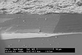 SEM image of the corrosion layer on the surface of an ancient glass fragment; note the laminar structure of the corrosion layer.