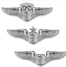 Official Flight Nurse badges worn on uniforms of those in the United States Air Force
