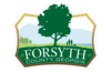 Official logo of Forsyth County