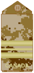 Arid-region CADPAT uniform (old insignia)