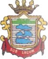 Coat of arms of Subiaco