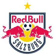 Club crest since 2007 (star added in 2019 to designate ten Bundesliga titles)