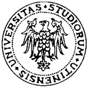 Logo of the University of Udine