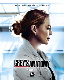 Grey's Anatomy season 17 promotional poster