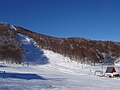 Vigla: Pissoderi ski resort in Florina