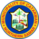 Official seal of Catarman