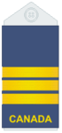 Uniform shirts (old insignia)