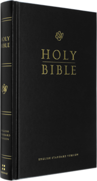Image of an ESV Pew Bible
