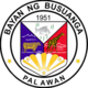 Official seal of Busuanga