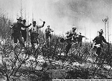 Firemen in action during 1913 fire on Mt. Tamalpais