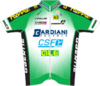 VF Group–Bardiani–CSF–Faizanè jersey
