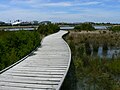 The boardwalk traversing the Portland Lagoon wetlands, viewed from the pier branch at the eastern end of Sunset Lagoon
