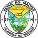 Official seal of Malvar