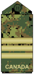 CADPAT uniform (old insignia)