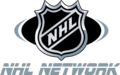 Silver logo used from 2005 - 2007. Original logo from 2001 - 2005 used original NHL logo colours; black and orange