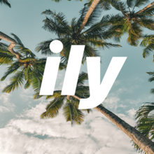 The word "ily" is written in a italic white font on a tropical background.