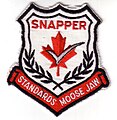 Standards Flight badge 1981. Snapper Flight was responsible for evaluating students through flight testing.