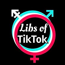 The planetary symbols for Mars and Venus in cyan and magenta respectively, in homage of TikTok's logo. In the center is the text "Libs of" (italicized) and "TikTok".