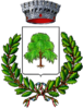Coat of arms of Salassa
