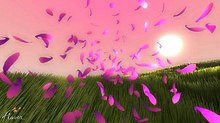 A group of pink flower petals is displayed above a green grassy field with the viewer seemingly amongst them. The sky is pink-toned, and a light yellow sun is shown above the horizon on the right side.