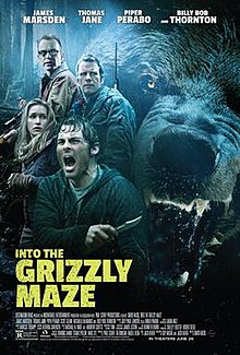 The poster shows a group of people in the woods on the left and an enlarged image of a bear on the right.